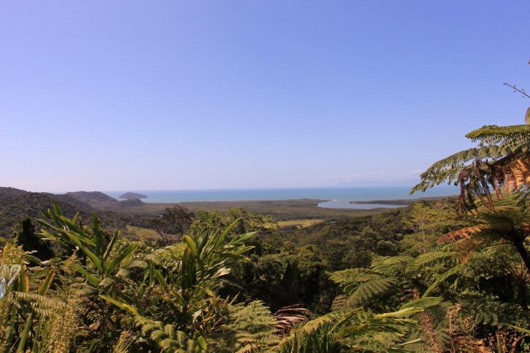 Cairns Chapter: Cape Tribulation Day Tour