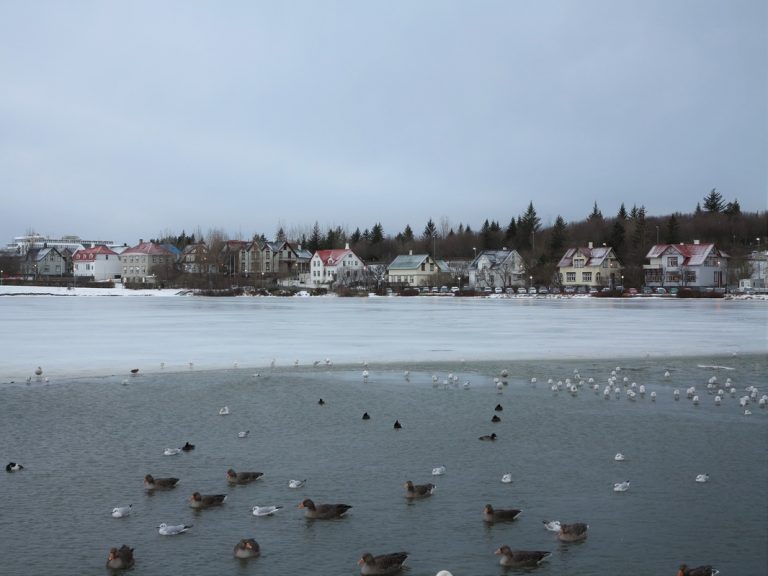 Reykjavik: A Winter Wonderland