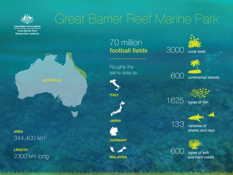 Cairns Chapter: Great Barrier Reef