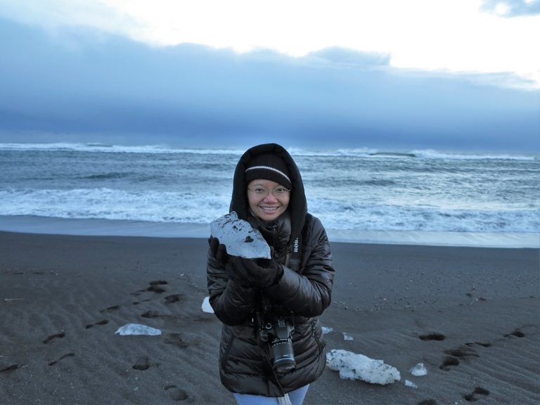 Why Iceland?