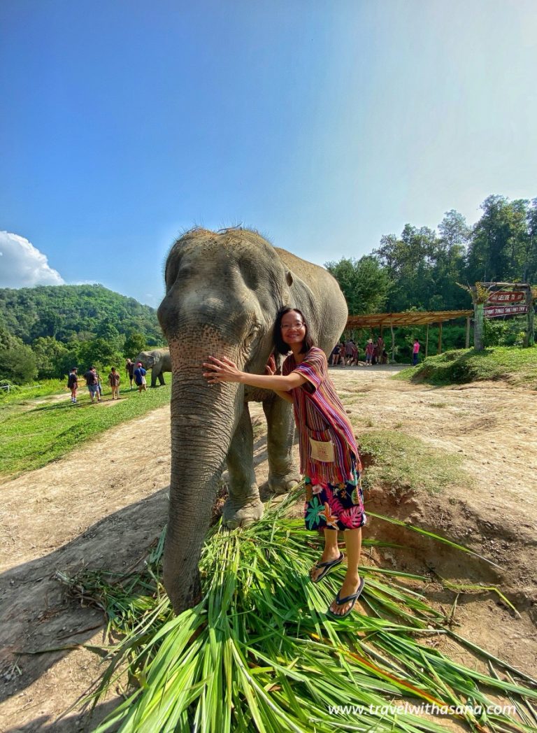 Chiang Mai Day-2: Elephant Sanctuary and Royal Park Rajapruek