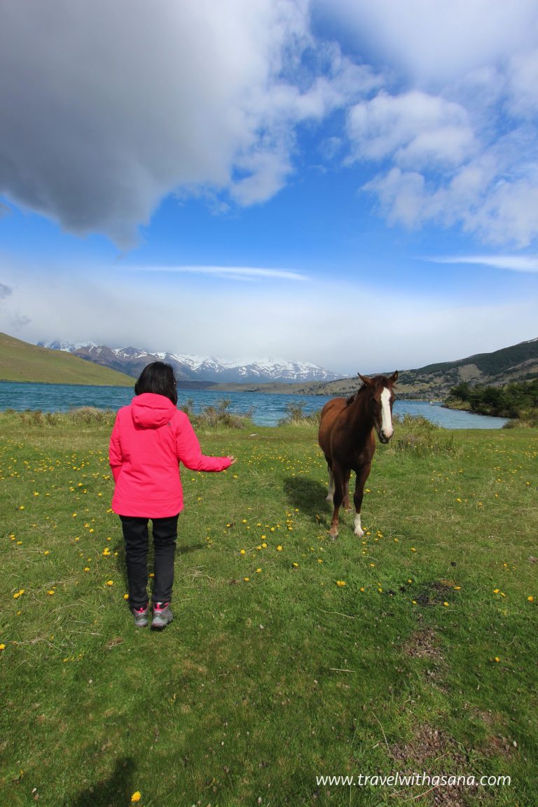 A Day in Torres del Paine National Park